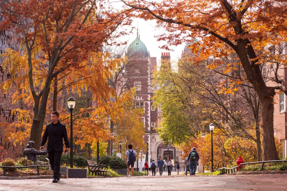 Image of tree-lined walk to large brick building